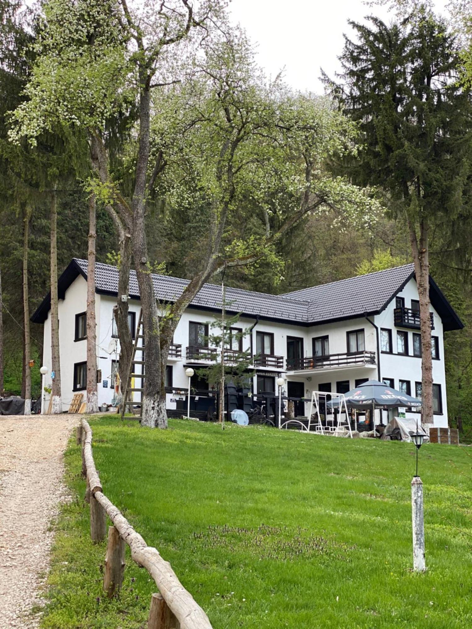 Starite Borove Villa Sinagovtsi Екстериор снимка